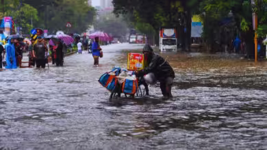 Photo of कोलकाता में भारी बारिश से 7 लोगों की मौत, मेट्रो सेवाएं प्रभावित, रेलवे ट्रैक जलमग्न