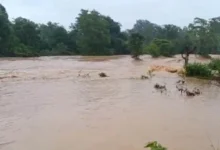 Photo of छत्तीसगढ़ के बलरामपुर में बांध टूटने से अचानक आई बाढ़ में चार लोगों की मौत, तीन लापता