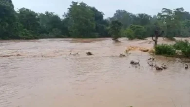 Photo of छत्तीसगढ़ के बलरामपुर में बांध टूटने से अचानक आई बाढ़ में चार लोगों की मौत, तीन लापता