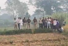 Photo of बहराइच: बरामदे में सो रही 2 साल की शानवी को उठा ले गया भेड़िया, मिले मांस के टुकड़े मिले; 20 दिन बाद फिर दहशत