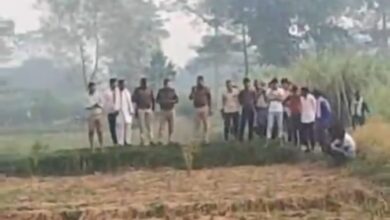 Photo of बहराइच: बरामदे में सो रही 2 साल की शानवी को उठा ले गया भेड़िया, मिले मांस के टुकड़े मिले; 20 दिन बाद फिर दहशत