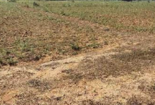 Photo of यूपी में सर्किल रेट के नए नियम: संपत्ति मूल्यांकन अब अधिक पारदर्शी और एकरूप