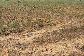 Photo of यूपी में सर्किल रेट के नए नियम: संपत्ति मूल्यांकन अब अधिक पारदर्शी और एकरूप