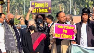 Photo of दिल्ली वायु प्रदूषण: ‘बच्चे मर रहे हैं, मेरे जैसे बुजुर्ग सांस लेने में तकलीफ महसूस कर रहे’, सोनिया गांधी ने की सरकार से तुरंत एक्शन की मांग
