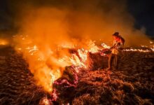 Photo of पराली जलाने का 5 बजे वाला खेल: किसान सैटेलाइट को चकमा देकर शाम को सुलगा रहे खेत, ISRO-NASA स्टडी ने खोली सरकार की पोल