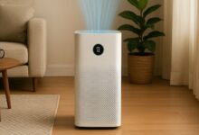 Photo of दिल्ली हाई कोर्ट की केंद्र को फटकार: ‘हम रोज 21 हजार बार सांस लेते हैं, एयर प्यूरीफायर पर GST कम करो या साफ हवा दो’