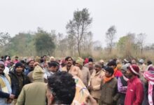 Photo of लखीमपुर खीरी: घास काटने गए बुजुर्ग को जंगली जानवर ने मार डाला, गन्ने के खेत में मिला अधखाया शव