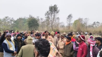 Photo of लखीमपुर खीरी: घास काटने गए बुजुर्ग को जंगली जानवर ने मार डाला, गन्ने के खेत में मिला अधखाया शव