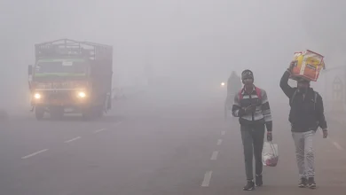 Photo of घने कोहरे की चपेट में उत्तर प्रदेश: कई जिलों में दृश्यता शून्य, न्यूनतम तापमान 4 डिग्री तक गिरा