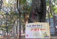 Photo of इंदौर मेट्रो परियोजना से खतरे में पड़े 235 पेड़ों को बचाने के लिए नागरिकों ने विरोध प्रदर्शन किया