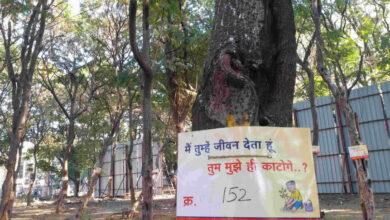 Photo of इंदौर मेट्रो परियोजना से खतरे में पड़े 235 पेड़ों को बचाने के लिए नागरिकों ने विरोध प्रदर्शन किया