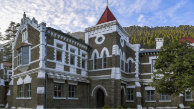 Photo of उत्तराखंड हाईकोर्ट ने हत्या के दोषी को बरी कर दिया, कहा कि अपराध के समय वह नाबालिग था