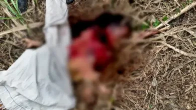 Photo of लखीमपुर-खेरी में बाघ ने महिला को मार डाला, शव बुरी तरह क्षत-विक्षत