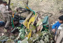 Photo of आगरा: तेज रफ्तार ट्रक ने दो यात्री ऑटो को टक्कर मारी ,चार धाम से लौट रहे 5 तीर्थयात्रियों की मौत, 8 घायल