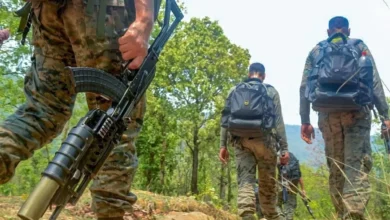 Photo of छत्तीसगढ़: बीजापुर में पुलिस मुठभेड़ में दो नक्सली मारे गए; हथियार और विस्फोटक बरामद
