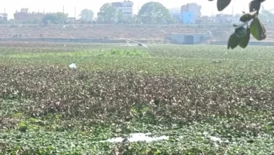 Photo of प्रयागराज के केपी कॉलेज के पास एक तालाब में वायुसेना का प्रशिक्षण विमान दुर्घटनाग्रस्त