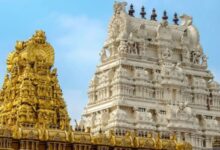 Photo of तिरुपति नाम का एक शराबी तिरुपति मंदिर पर चढ़ गया और और शराब की मांग करने लगा