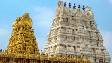 Photo of तिरुपति नाम का एक शराबी तिरुपति मंदिर पर चढ़ गया और और शराब की मांग करने लगा