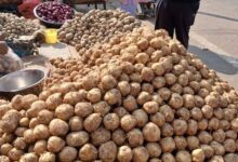 Photo of आगरा में आलू का भाव गिरावट: किसान परेशान, राज्य सरकार ने केंद्र को सरकारी खरीद का प्रस्ताव भेजा