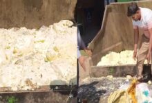 Photo of होली से पहले मिलावट का बड़ा खेल: कानपुर में 9 क्विंटल मिलावटी खोया जमींदोज, इतने किलो सोयाबीन तेल जब्त