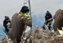 Photo of वीडियो बनाते समय वीडियो शूट के दौरान हादसा, दिल्ली की महिला नाले में गिरी