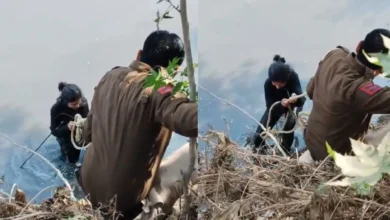 Photo of वीडियो बनाते समय वीडियो शूट के दौरान हादसा, दिल्ली की महिला नाले में गिरी