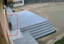 Photo of उत्तर प्रदेश: गाजियाबाद के एक स्कूल में तेंदुए के घुसने के बाद परीक्षा रद्द