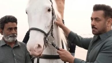 Photo of बैटल ऑफ गलवान में सलमान खान का स्पेशल साथी: उनका अपना प्यारा घोड़ा!