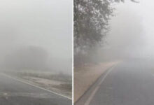 Photo of यूपी में मार्च में दिसंबर-जनवरी जैसा घना कोहरा: पहली बार ऐसा अभूतपूर्व बदलाव, मौसम विभाग ने बताया क्लाइमेट इमरजेंसी