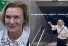 Photo of नॉर्वे की राजदूत ने पहली बार दिल्ली मेट्रो की सवारी की, वायरल हुई तस्वीरें और वीडियो; बोलीं- फास्ट, क्लीन और सुपर एफिशिएंट