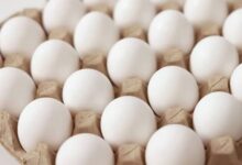 Photo of लखनऊ: 1 अप्रैल से अंडों पर एक्सपायरी डेट लिखना अनिवार्य, पुराना माल बेचने पर सख्त कार्रवाई