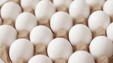 Photo of लखनऊ: 1 अप्रैल से अंडों पर एक्सपायरी डेट लिखना अनिवार्य, पुराना माल बेचने पर सख्त कार्रवाई