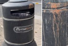 Photo of लंदन में पान थूकने पर दो भारतीयों को लगा लाखों का जुर्माना: ब्रेंट काउंसिल ने दी सख्त चेतावनी