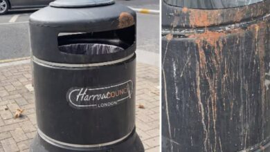 Photo of लंदन में पान थूकने पर दो भारतीयों को लगा लाखों का जुर्माना: ब्रेंट काउंसिल ने दी सख्त चेतावनी