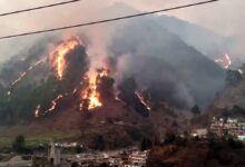 Photo of उत्तराखंड में भीषण जंगल की आग: चमोली में कई हेक्टेयर हरे-भरे क्षेत्र में आग का कहर जारी