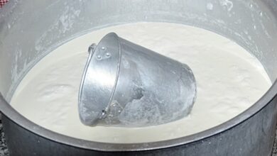 Photo of आंध्र प्रदेश में दूध में मिलावट के मामले में मरने वालों की संख्या बढ़कर 16 हो गई