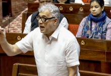 Photo of डिजिटल लत से हर साल 20,000 बच्चों की जान जाती है: डेरेक ओ’ब्रायन