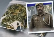Photo of कानपुर में पुलिसकर्मियों ने गांजे के व्यापार से 100 करोड़ रुपये कमाए, छापेमारी जारी