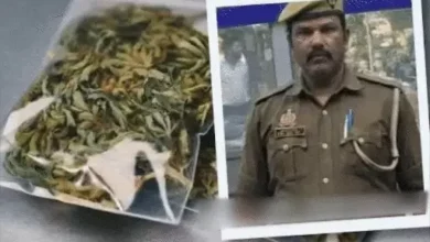 Photo of कानपुर में पुलिसकर्मियों ने गांजे के व्यापार से 100 करोड़ रुपये कमाए, छापेमारी जारी