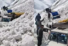 Photo of लद्दाख के जोजिला दर्रे पर हिमस्खलन से वाहन दबे, दो लोगों की मौत, कई लोगों के फंसे होने की आशंका