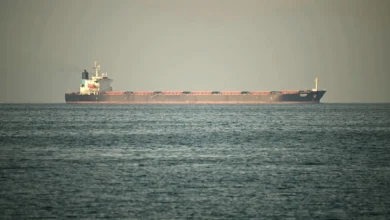 Photo of LPG गैस से लदा शिवालिक जहाज शाम 5 बजे तक भारत पहुंच जाएगा