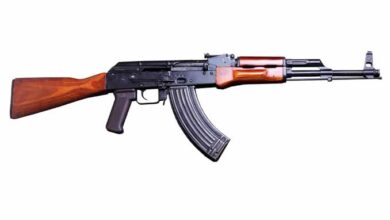 Photo of बिजनौर: AK-47 को खिलौना बताने वाले SHO सस्पेंड, सीओ नितेश प्रताप सिंह पर भी गिरी गाज