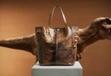 Photo of दुनिया का पहला ‘टी-रेक्स लेदर’ हैंडबैग: डायनासोर के कोलेजन से बना लग्जरी आइटम