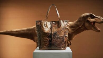 Photo of दुनिया का पहला ‘टी-रेक्स लेदर’ हैंडबैग: डायनासोर के कोलेजन से बना लग्जरी आइटम