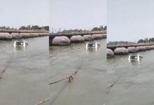 Photo of गुटखा खाने उतरा ड्राइवर, बिना ब्रेक लगाए छोड़ी बोलेरो – पांटून ब्रिज से गंगा में गिरी गाड़ी