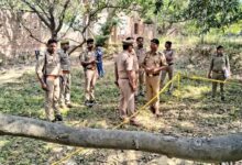 Photo of प्रतापगढ़ में गैंगरेप के बाद युवती की गला घोंटकर हत्या, प्रेमी ने पेड़ से लटकाया शव – आत्महत्या दिखाने की कोशिश