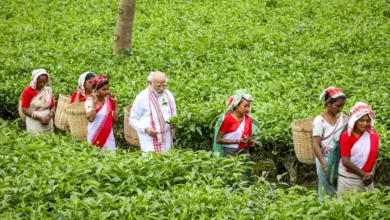 Photo of प्रधानमंत्री मोदी ने डिब्रूगढ़ के चाय बागान का दौरा किया