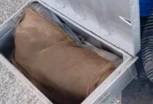 Photo of लखनऊ में सनसनीखेज हत्याकांड: ट्रेन की स्लीपर बोगी में युवती की सिर कटी लाश मिली, शव 6 टुकड़ों में कटा