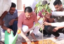 Photo of मदननेगी में खुलेगा नया केंद्रीय विद्यालय: CM धामी ने केंद्र सरकार का जताया आभार
