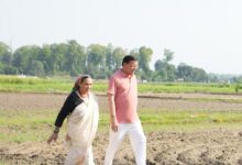 Photo of उत्तराखंड के मुख्यमंत्री धामी ने जैविक खेती को बढ़ावा दिया, खटीमा स्थित अपने निजी आवास पर जुताई की